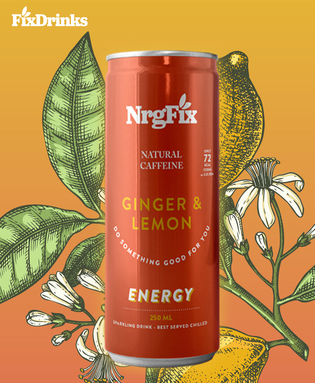 NRGFix - Ginger & Lemon 12 Pack