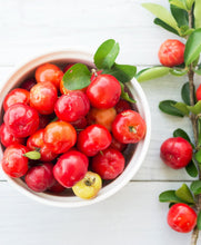 Load image into Gallery viewer, NRGFix - Cherry &amp; Acerola 12 Pack
